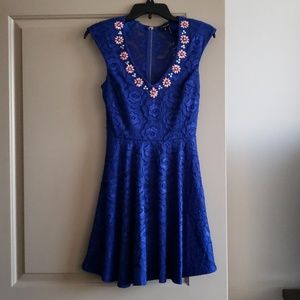 Blue Lace Skater Dress